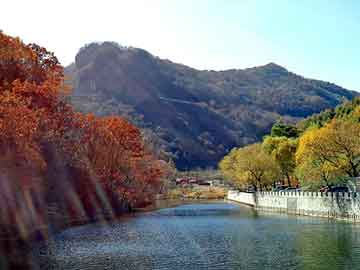 新澳天天开奖资料大全旅游团，一路飘香小吃车价格